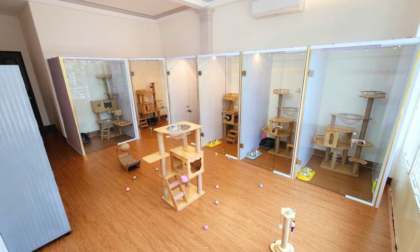 Không gian khách sạn thú cưng với 6 phòng riêng biệt dành cho mèo, đảm bảo sự rộng rãi và riêng tư.