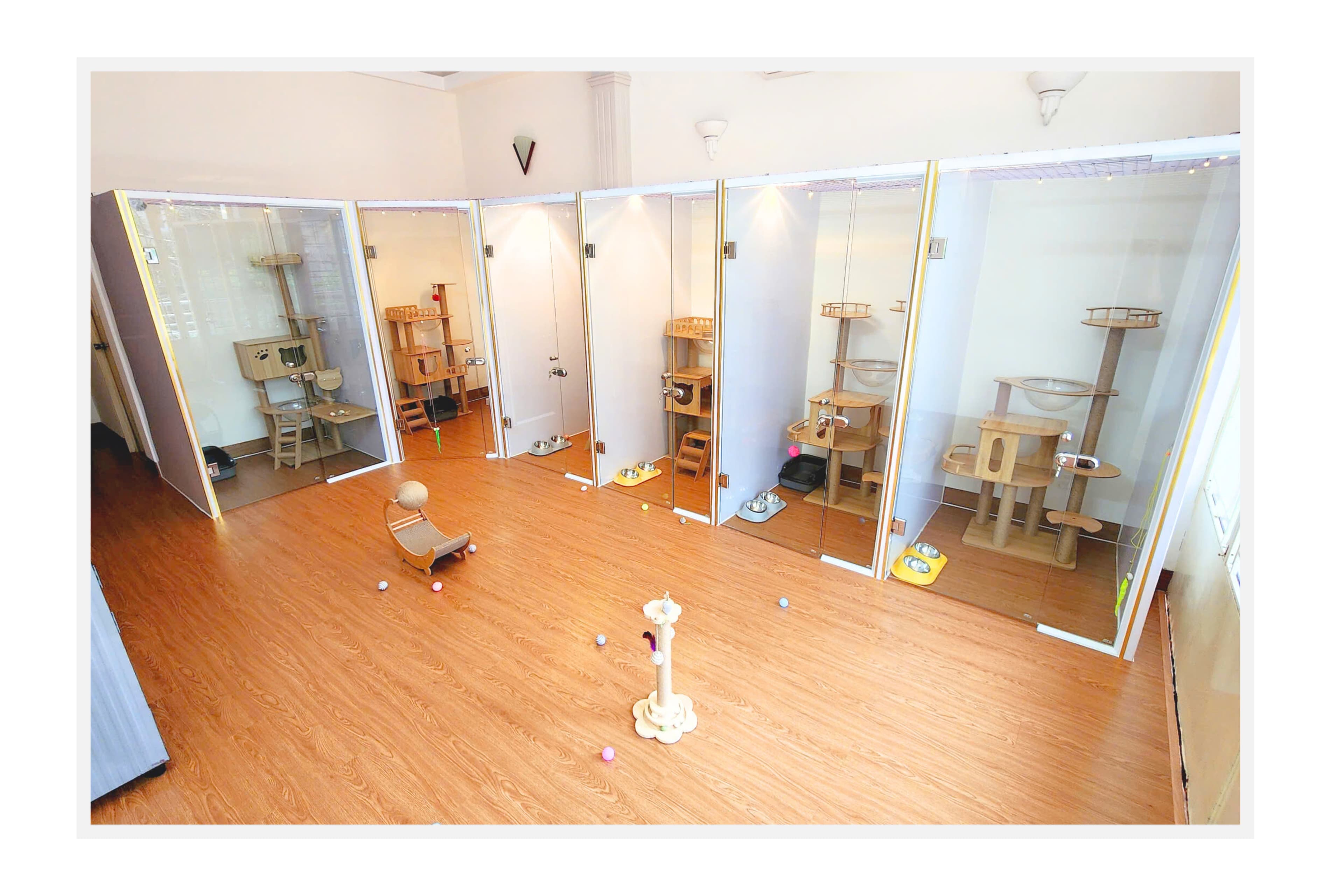 Cat hotel in Distrct 2
