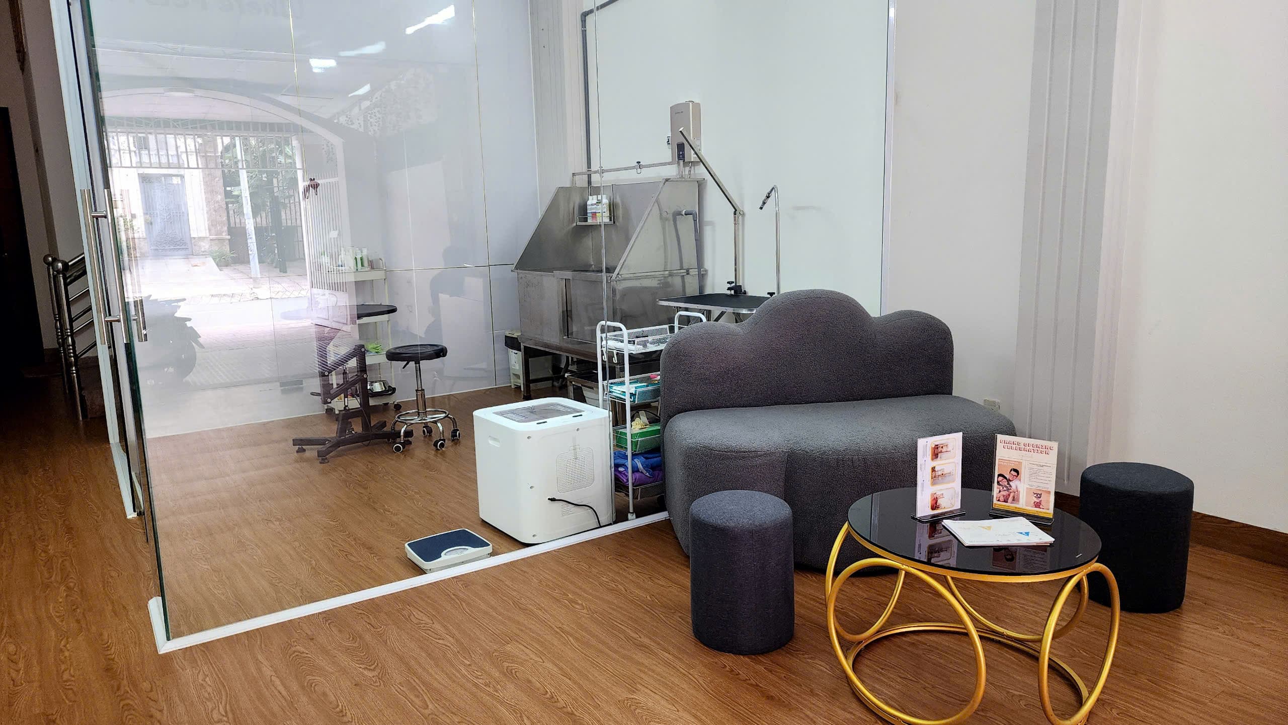 See through pet grooming session - Trusted pet grooming