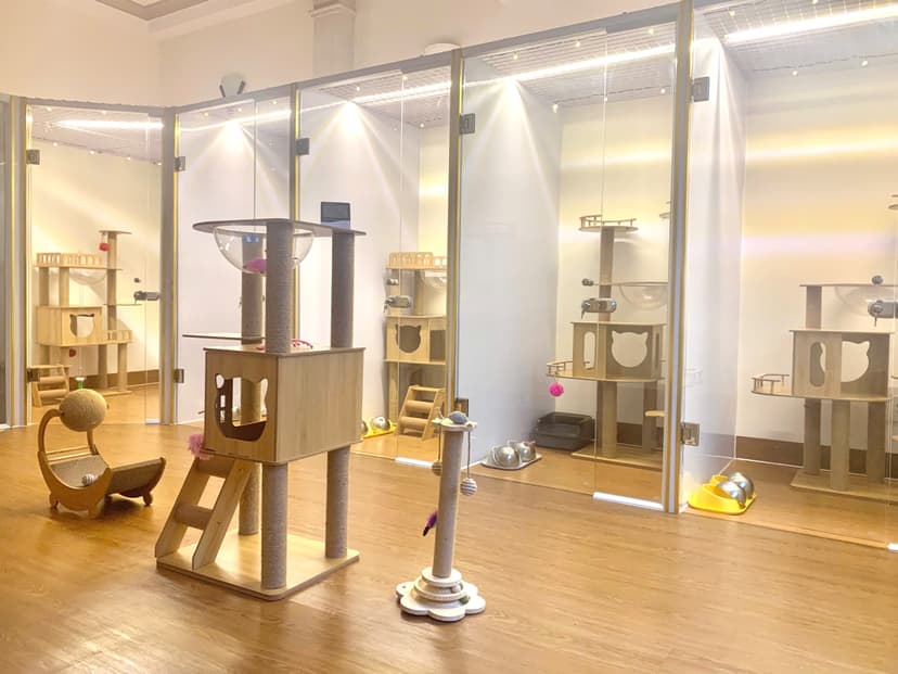 A pet hotel space with 6 separate rooms for cats, ensuring spaciousness and privacy.